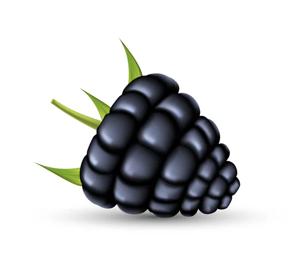 Blackberry Yang Realistis Berry Hitam Matang Segar Dengan Daun Hijau - Stok Vektor