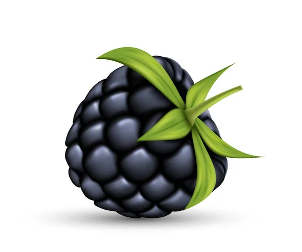 Blackberry Fresco Realista Con Hojas Verdes Bayas Maduras Jugoso Ingrediente — Vector de stock