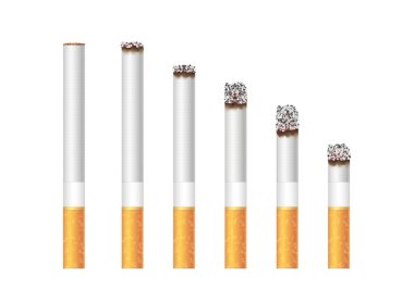 Burn cigarette stages. Burning cigarettes filter tobacco ashes, fire white cigar butt toxic ash products, quit smoke addiction smoker dependence. 3d vector illustration