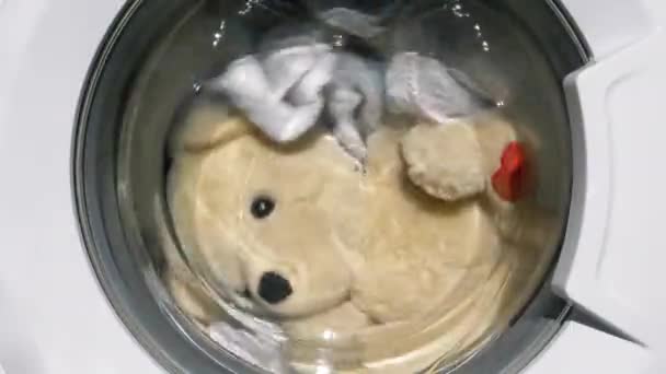 Oso de peluche en la lavadora — Vídeo de stock