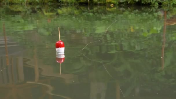 Pesca flutuar nas ondas — Vídeo de Stock