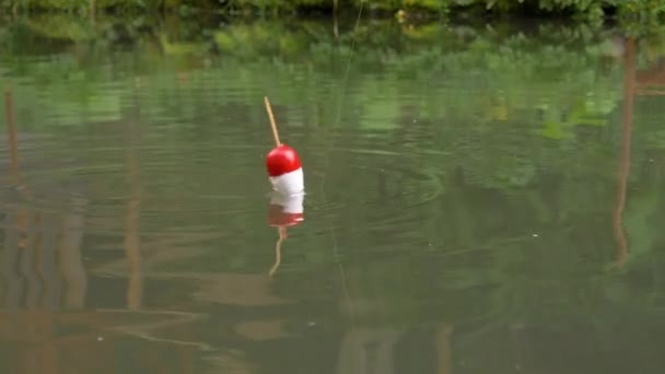 Pêche avec une canne et une ligne. — Video