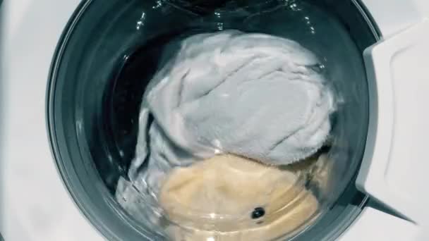 Brinquedo de pelúcia na máquina de lavar roupa. — Vídeo de Stock