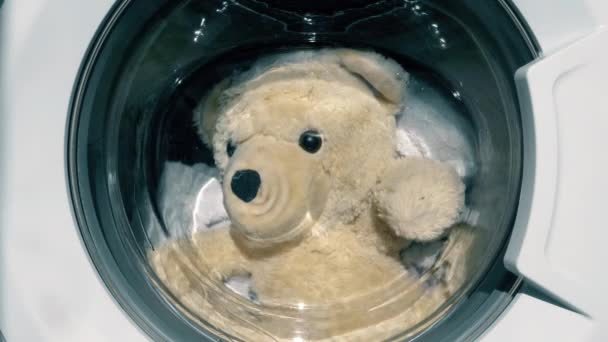 Peluche jouet dans la machine à laver — Video