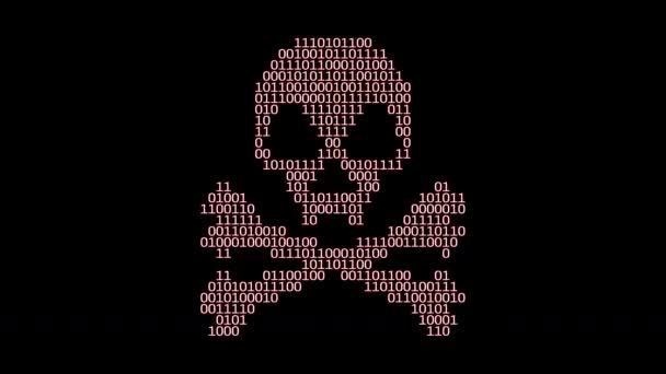 Malware code skull and crossbones — Stock Video