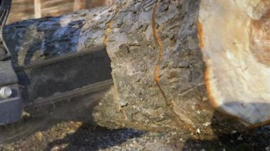 Bir kütük kesen elektrikli testere