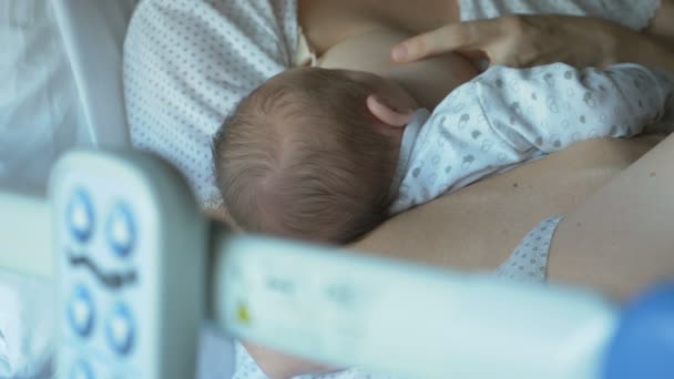 Primeras madres leche después del parto — Vídeos de Stock