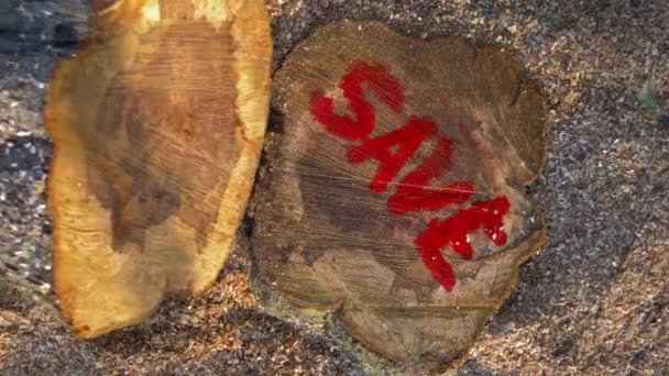 Caída del tronco de un árbol — Vídeo de stock