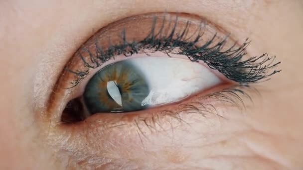 Mujer globo ocular peca detalle ver — Vídeos de Stock