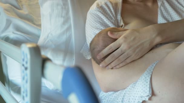 La madre amamanta a un recién nacido en el hospital de maternidad — Vídeos de Stock