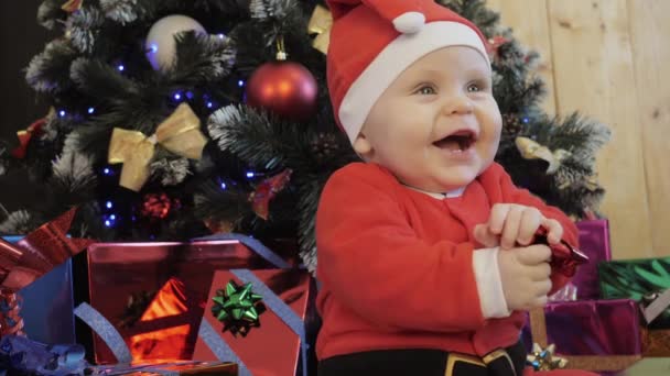 Child near the Christmas tree laughs and claps his hands. — Stock Video