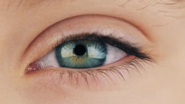 Niebieskie oko szeroko otwarte w zbliżeniu. — Wideo stockowe