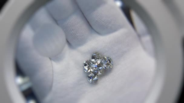 Diamanter under förstoringsglas — Stockvideo