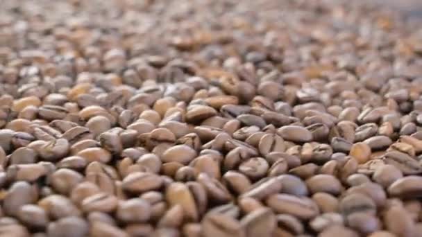 Granos de café tostados aromáticos — Vídeo de stock