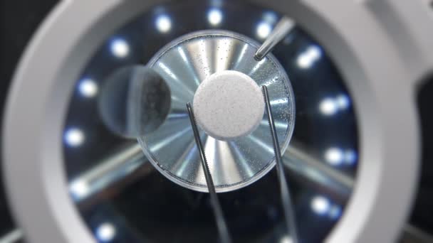 Таблетки растворяются в жидкости под микроскопом — стоковое видео