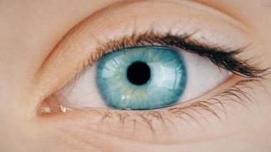 Biyonik insan gözü retina taraması. Kontak lens gövdesi arayüzü. Büyütülmüş gerçeklikle gözlerinizi yakınlaştırın.