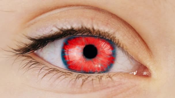 Eye Retinal Scanning Augmented Reality Implant Human Eyeball Biometric Verification — Stock Video