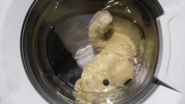 Teddy Bear Wasmachine Reiniging Van Kinderen Pluche Speelgoed — Stockvideo