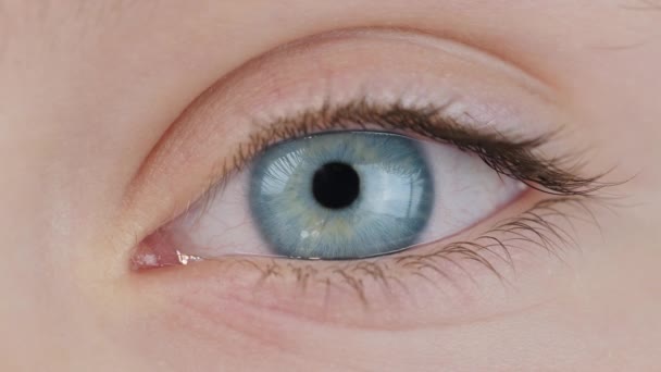 Mavi Gözlü Çocuk Yakın Plan Genç Kız Kameraya Bakıyor Makyajsız — Stok video