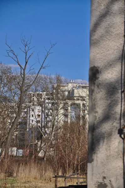 Modern Byggsten Lägenheter Bakom Parken Bakom Träden Blå Himmel Betong — Stockfoto