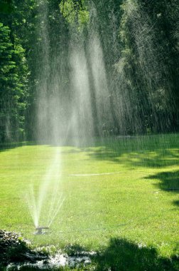 Güneşli bir günde çimenleri sulayan spreyci.