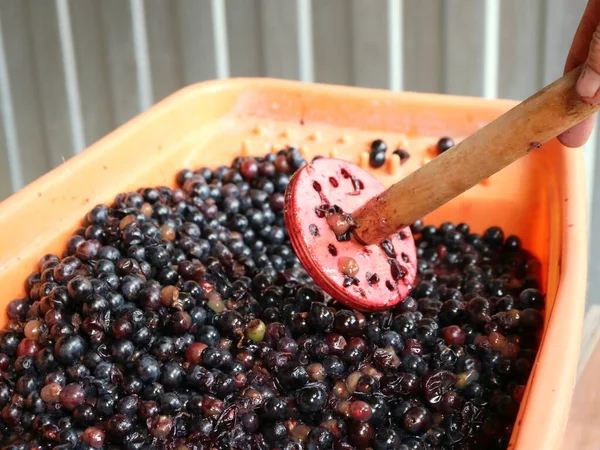 Elle olgun üzümlerden meyve suyu sıkmak için ev yapımı ahşap satıcı, ev yapımı şarap üretimine hazırlanmak için üzüm malzemesi sıkmak, ev yapımı içecekler hazırlarken sulu üzümleri yoğurmak.