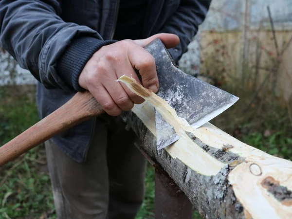 Schillen Van Schors Uit Een Verse Asstam Met Een Scherp — Stockfoto