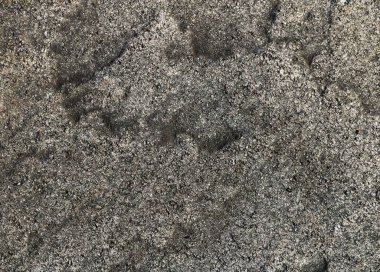 Gri monokrom taş arka plan, kaotik doğal doku deseni, açık tahıl ve gri tonlarında, kum tanecikleri ile karışmış kayalık boş kopya alanı olan koyu renkli kütle.