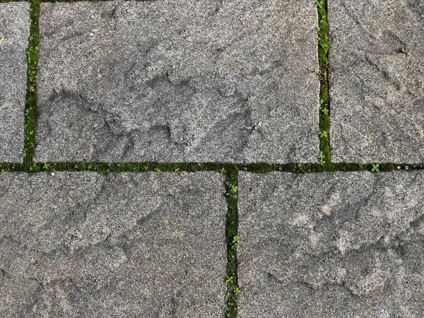 Fragment Path Paved Granite Massif Garden Park Seams Overgrown Small — Stockfoto