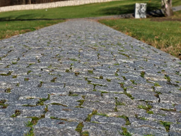 Mossige Textuurstenen Structuur Van Een Geplaveid Pad Een Tuin Park — Stockfoto