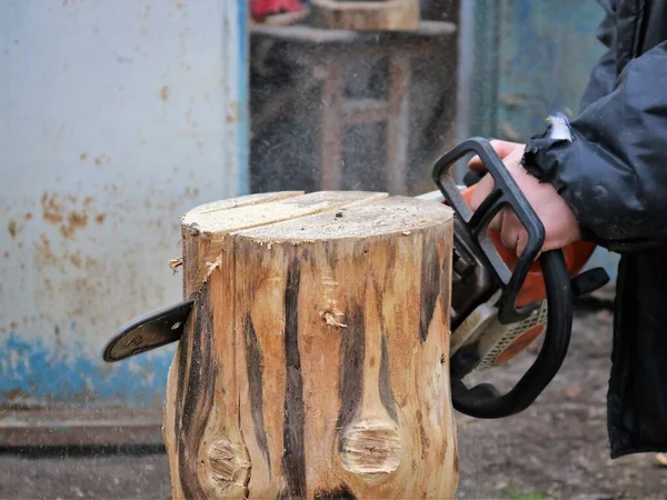 Notches Structure Unfinished Stump Made Man Chainsaw Fragment Log Material — Foto Stock