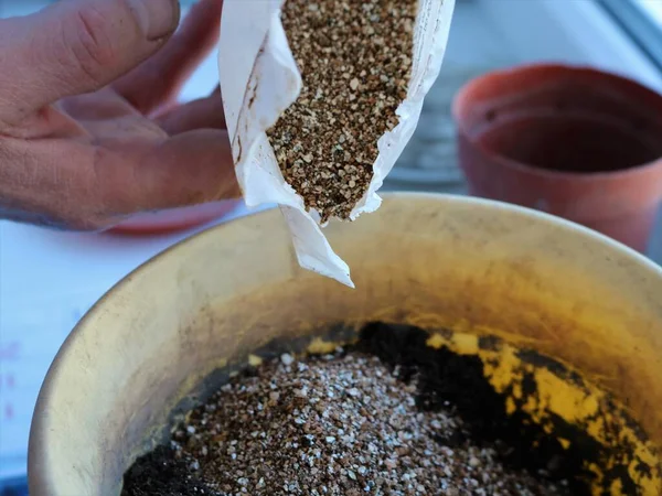 Verter Vermiculita Paquete Fábrica Una Maceta Tierra Para Preparar Suelo — Foto de Stock