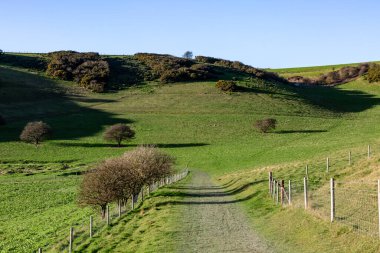 Güneşli bir kış gününde Güney Tepelerinde Bir Yol Ararken