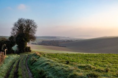 Ocak sabahı sisli bir South Downs manzarası