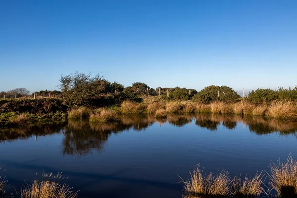 Tepesinde mavi gökyüzü olan bir çiğ göleti, Güney Tepeleri 'ndeki Ditchling Beacon' da.