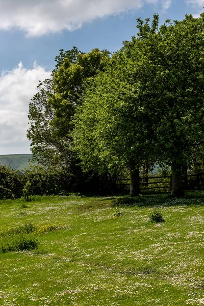 Uma Vista Rural Primavera Sussex — Fotografia de Stock
