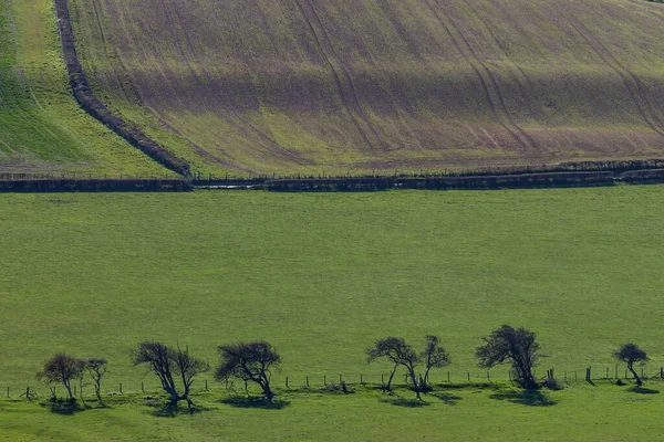Landskap Landsbygden East Sussex — Stockfoto