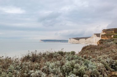 Bir bahar günü Sussex sahilindeki Seven Sisters Kayalıklarına bakıyorum.