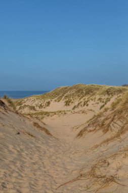 Merseyside 'daki Formby' de, deniz kenarındaki kumullarla kaplı marram çimlerinin arasına bakıyorum.