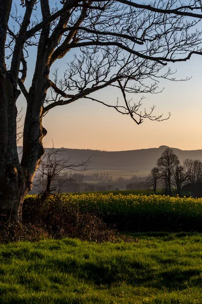 Atmosfärisk Kvällsutsikt Över Jordbruksmark Sussex — Stockfoto