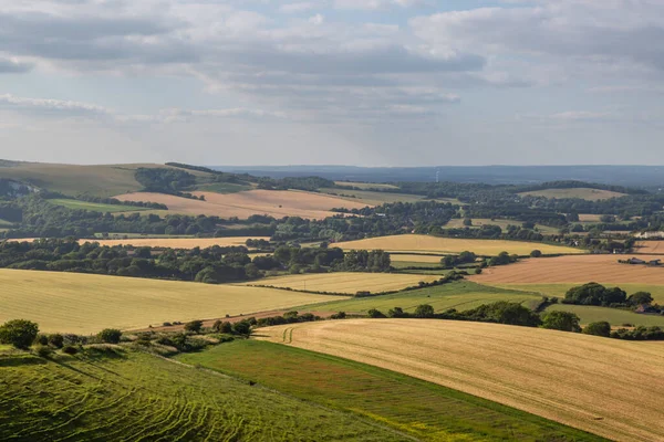 View South Downs Sussex Summers Day — Stock Photo, Image