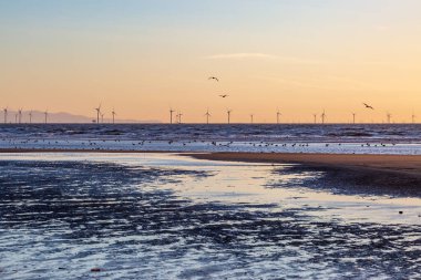 Gün batımında Merseyside sahilinden denize bakıyorum. Uzak bir sahil rüzgâr çiftliği ve Kuzey Galler tepeleri manzaralı.