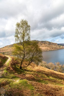 Cumbria 'da Ullswater manzarası
