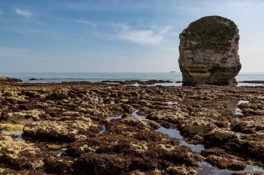 Tatlı Su Koyu 'ndaki Rocky Sahili, Low Tide.