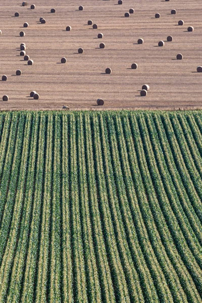 Full Frame Photograph Looking Crops Hay Bales Field — стоковое фото