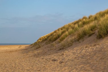 Merseyside 'daki Formby Sahili