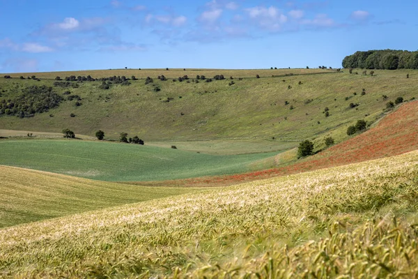 Rolling Sussex Farm Landscape Sunny Summers Day — Foto Stock