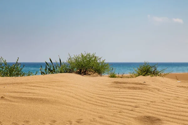 Kıbrıs Taki Karpas Yarımadası Boyunca Altın Kumsal Deniz Manzarası — Stok fotoğraf