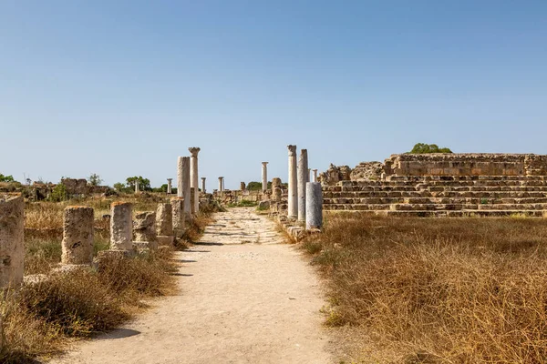 Widok Ruiny Salamis Cyprze — Zdjęcie stockowe