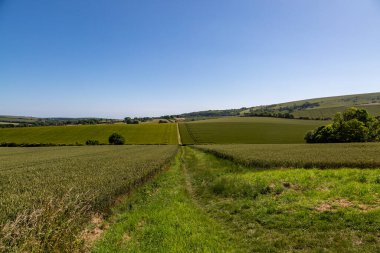 Güneşli bir yaz gününde Güney Tepeleri 'ne bakıyorum.